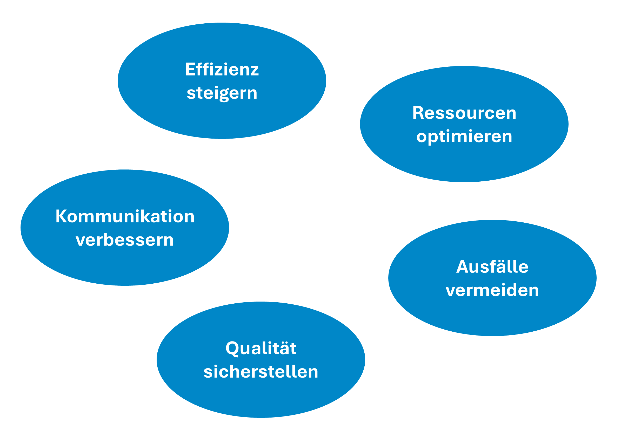 Ziele des industriellen Produktionsmanagements